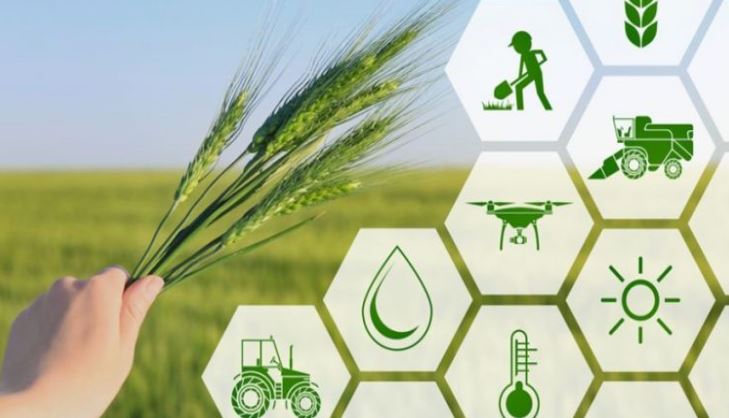 AI in Agriculture: Transforming Farming with Cutting-Edge Technology