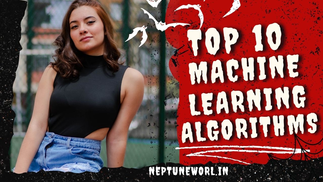 10 Popular Machine Learning Algorithms to Know in 2025